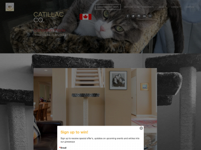catillac.ca snapshot