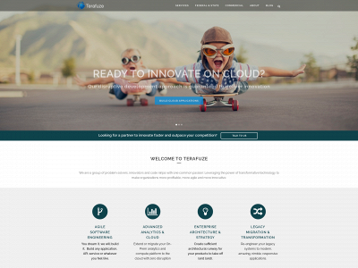 terafuze.com snapshot