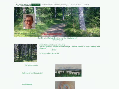 acartbynature.nu snapshot