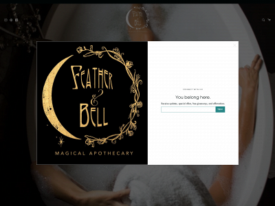 shopfeatherandbell.com snapshot