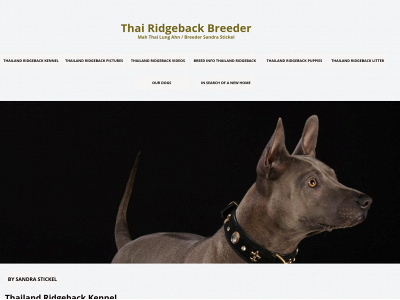 mahthailungahn.de snapshot