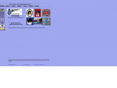 ebozzbrodyr.com snapshot