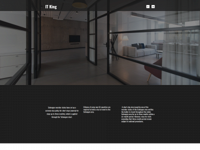 itking.business snapshot