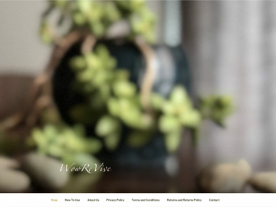 wowrevive.com snapshot