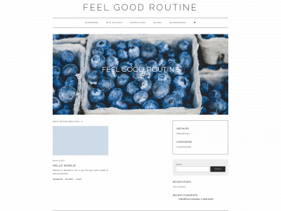 feelgood-routine.com snapshot