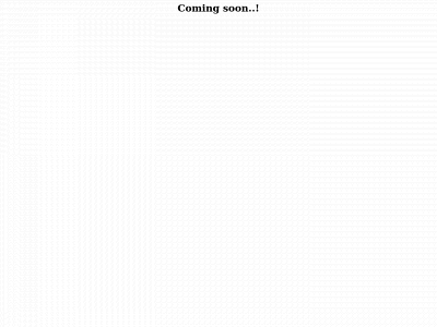 ss-sandhuconstructionltd.co.uk snapshot