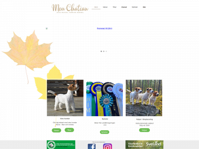 monchateau.se snapshot