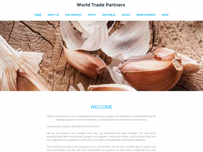 world-trade-partners.co.uk snapshot