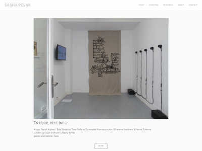 www.sashapevak.com snapshot