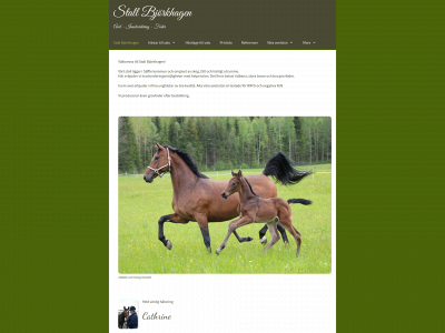 stallbjorkhagen.se snapshot
