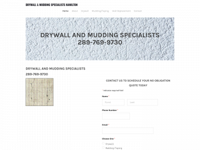 www.drywallandmuddingspecialists.com snapshot