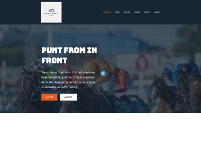 puntfrominfront.com snapshot