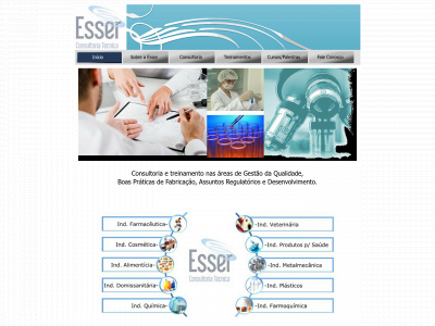 esserconsultoria.com.br snapshot