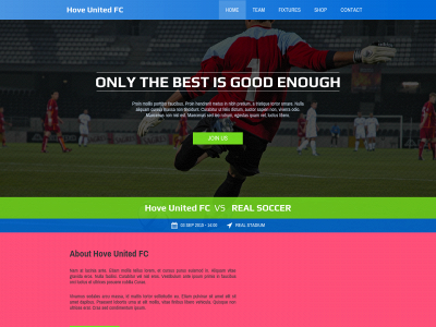 hoveunitedfc.co.uk snapshot