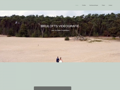 vdsteenproductions.nl snapshot