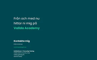 skagers.se snapshot