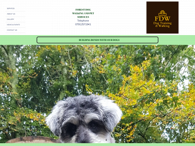 forest-dogwalking.co.uk snapshot