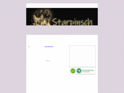 starpinsch.se snapshot