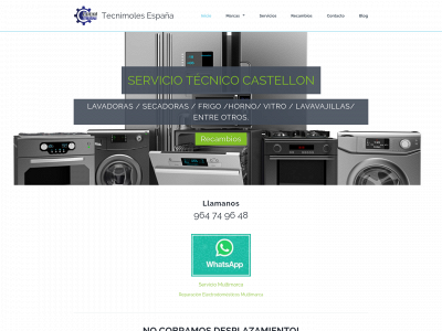 tecnimoles.com.es snapshot