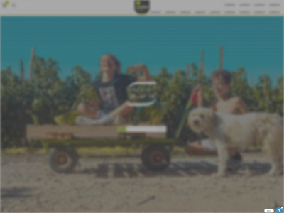 zaretna.co.il snapshot