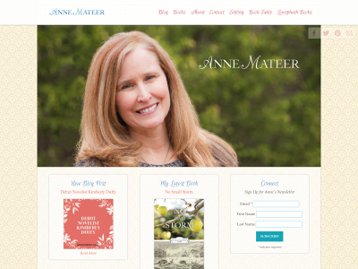 annemateer.com snapshot