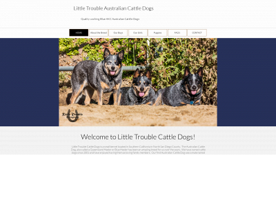 littletroubleacd.com snapshot