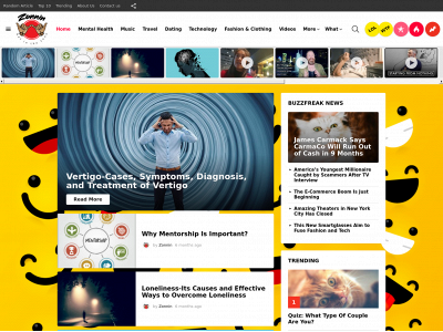 zonnin.com snapshot