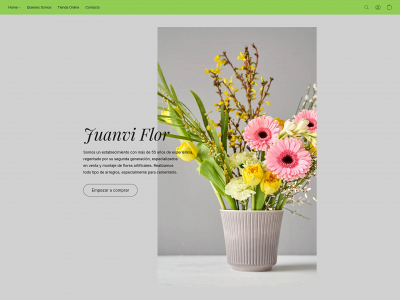 juanvicien.es snapshot