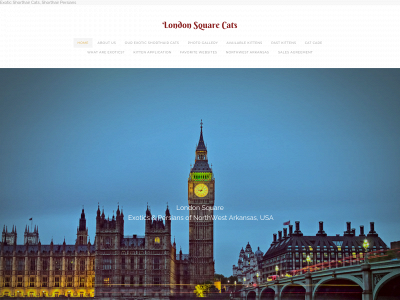 www.londonsquarecats.com snapshot