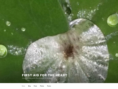 firstaidfortheheart.com snapshot