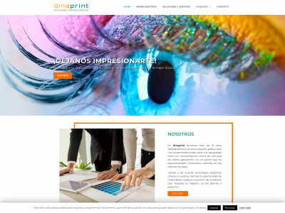 dinaprint.com snapshot