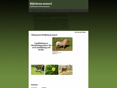 bjorkensstuteri.se snapshot