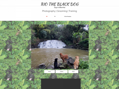 riotheblackdog.fr snapshot