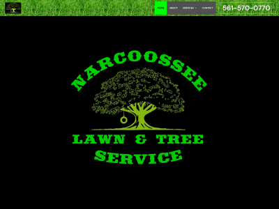 narcoosseelawncare.net snapshot