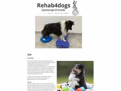 rehab4dogs.dk snapshot