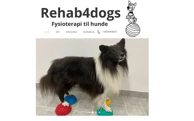 rehab4dogs.dk snapshot