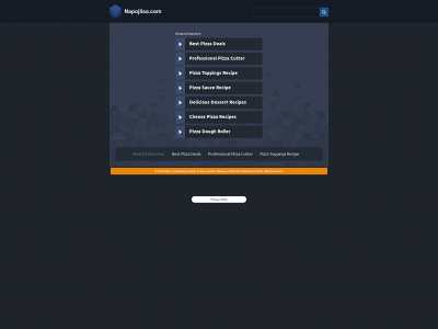 napojlisa.com snapshot