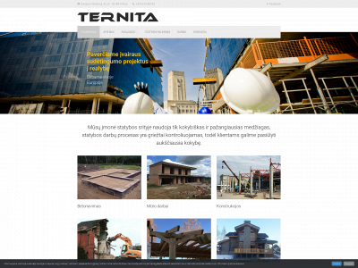 ternita.lt snapshot