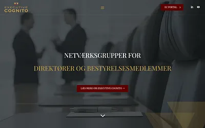 executivecognito.com snapshot