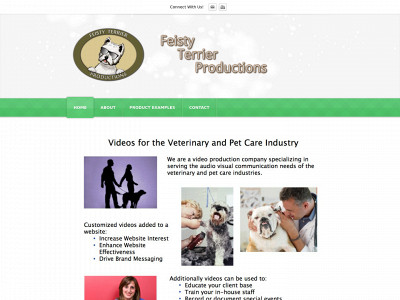 feistyterrier.com snapshot