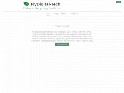 flydigitaltech.com snapshot