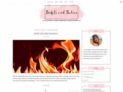 bisketsandbabies.com snapshot