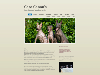 carocanou.be snapshot