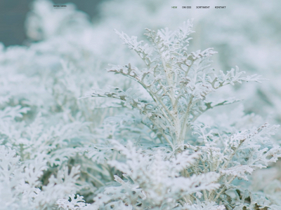 tropicalflowers.se snapshot