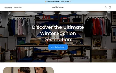 wellwinter.com snapshot