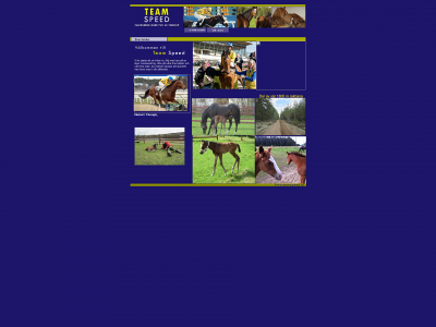 teamspeed.se snapshot