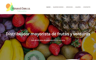 villanuevaycosex.net snapshot