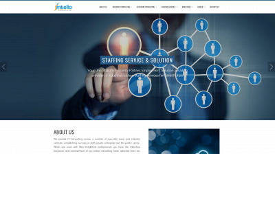 intellogroup.com snapshot