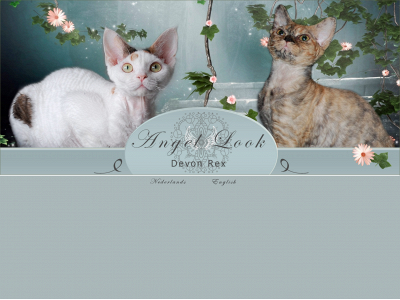 angellook.be snapshot