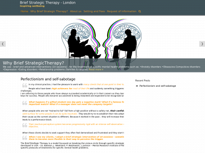 www.thebrieftherapy.com snapshot